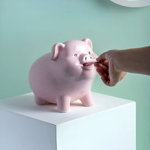 tirelire cochon gros format